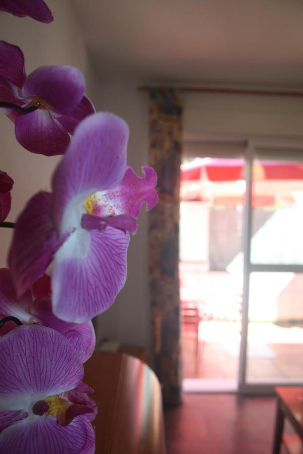 Apartamento Calle De La Cordera, 3 Torremolinos Buitenkant foto