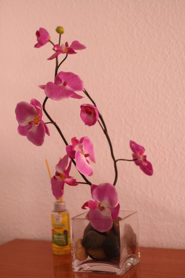Apartamento Calle De La Cordera, 3 Torremolinos Buitenkant foto